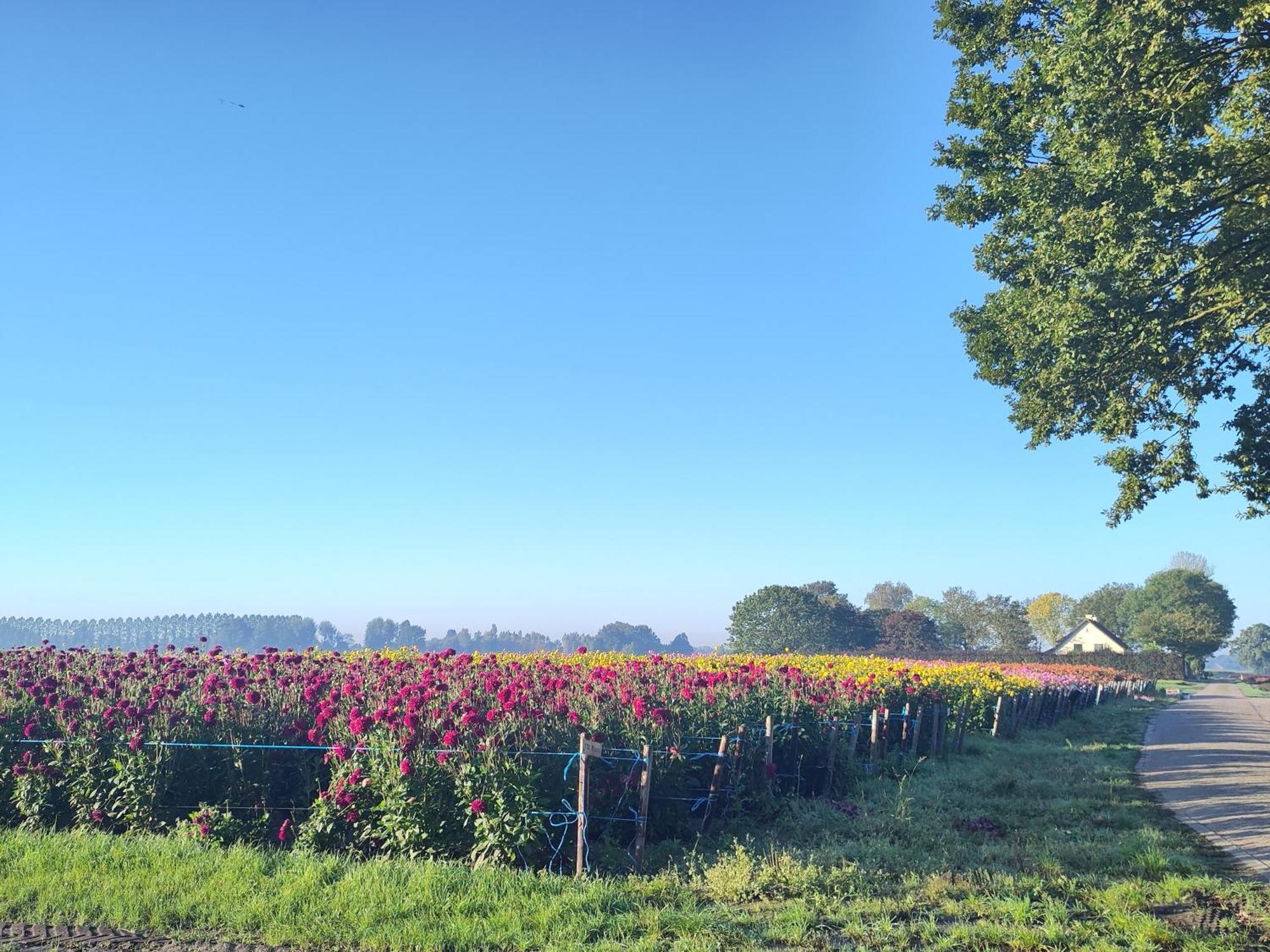 'T Voske Bed & Breakfast Zundert Dış mekan fotoğraf