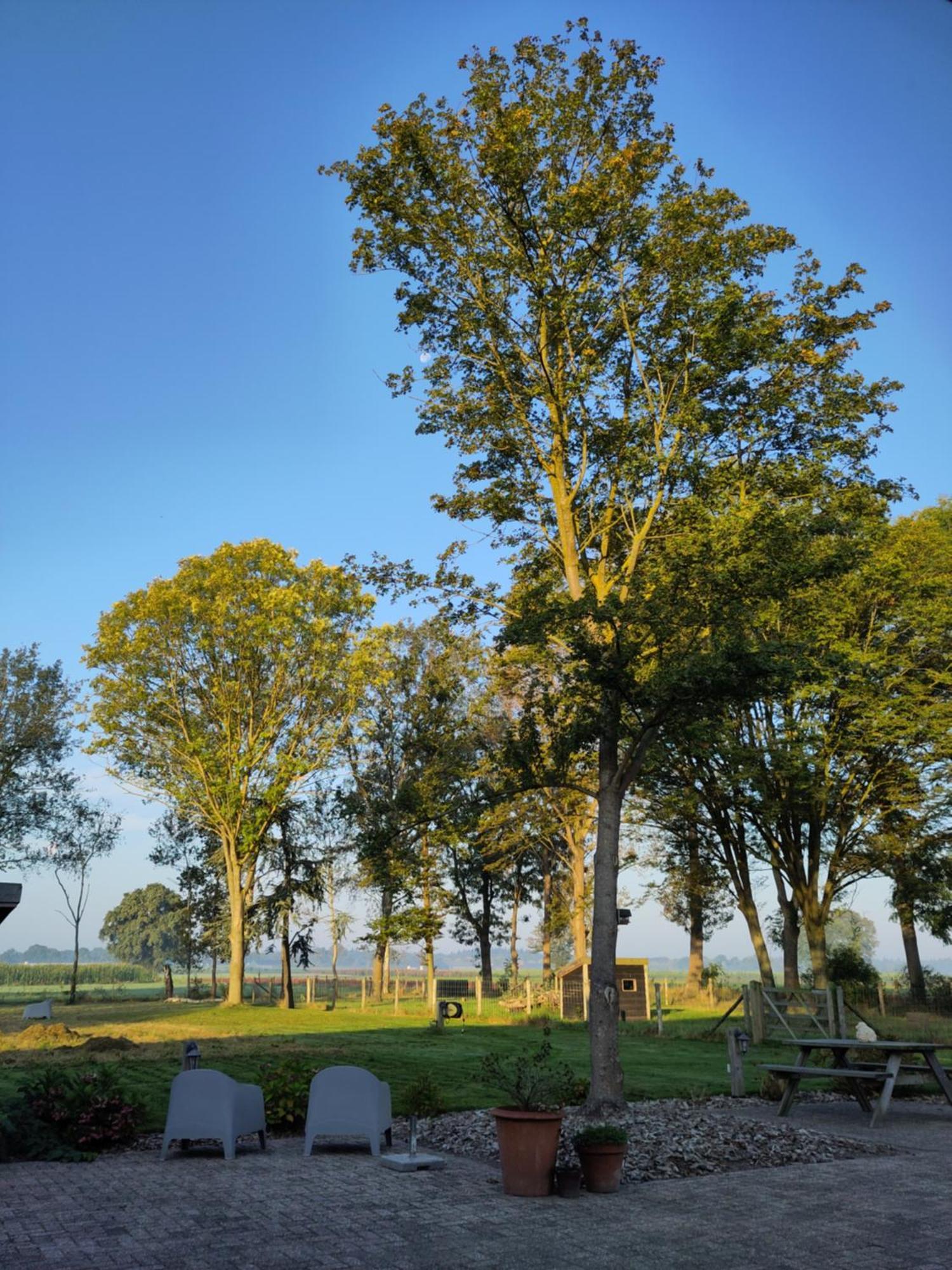 'T Voske Bed & Breakfast Zundert Dış mekan fotoğraf
